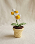 Daisy Pot